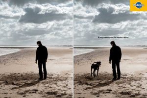 “A dog makes your life happier. Adopt.”